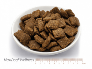 Idealne pożywienie dla psa sportowca, który nie toleruje wołowiny i zbóż.